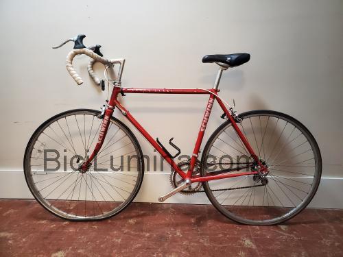 Schwinn Super Sport ficha técnica y opiniones